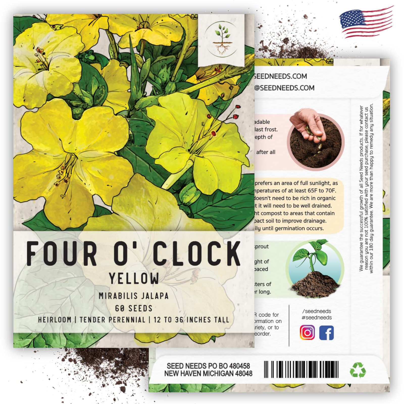 Seed Needs Yellow Four O Clock Seeds to Plant 1 Pack (60 Seeds),