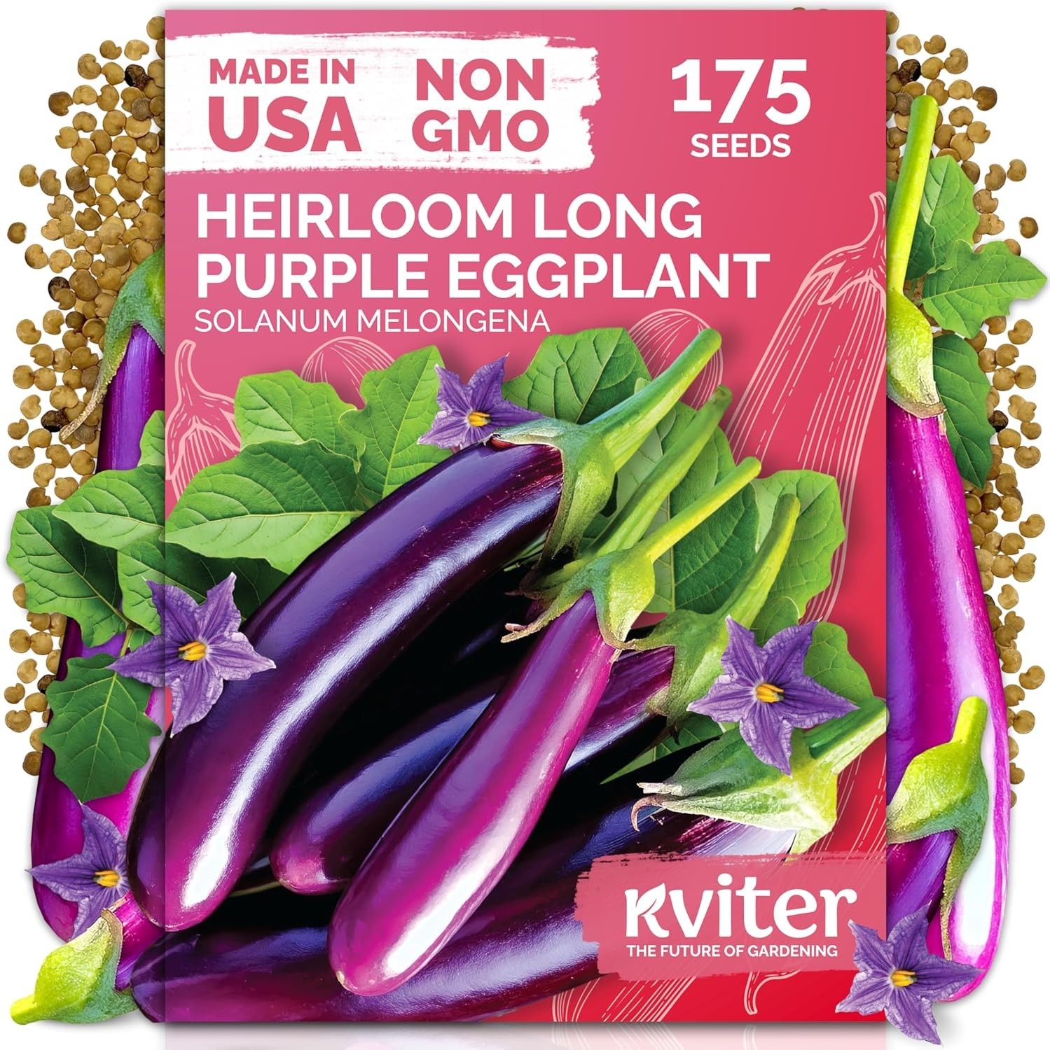 Compact Dark Purple Italian Eggplant Seeds – 175 Heirloom Seeds for Small Spaces