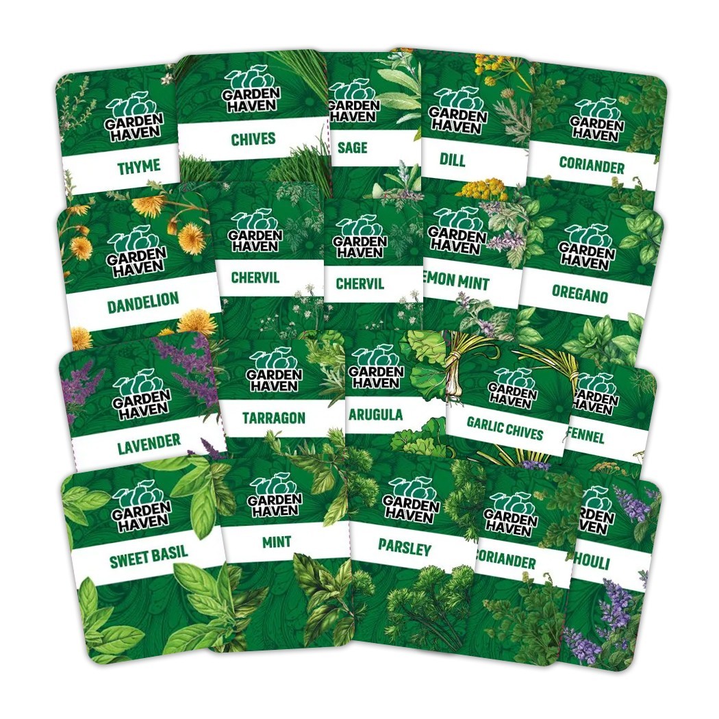 20 HERB Seeds Variety Pack Complete Grow Kit Culinary Herbs Indoor Outdoors Seed