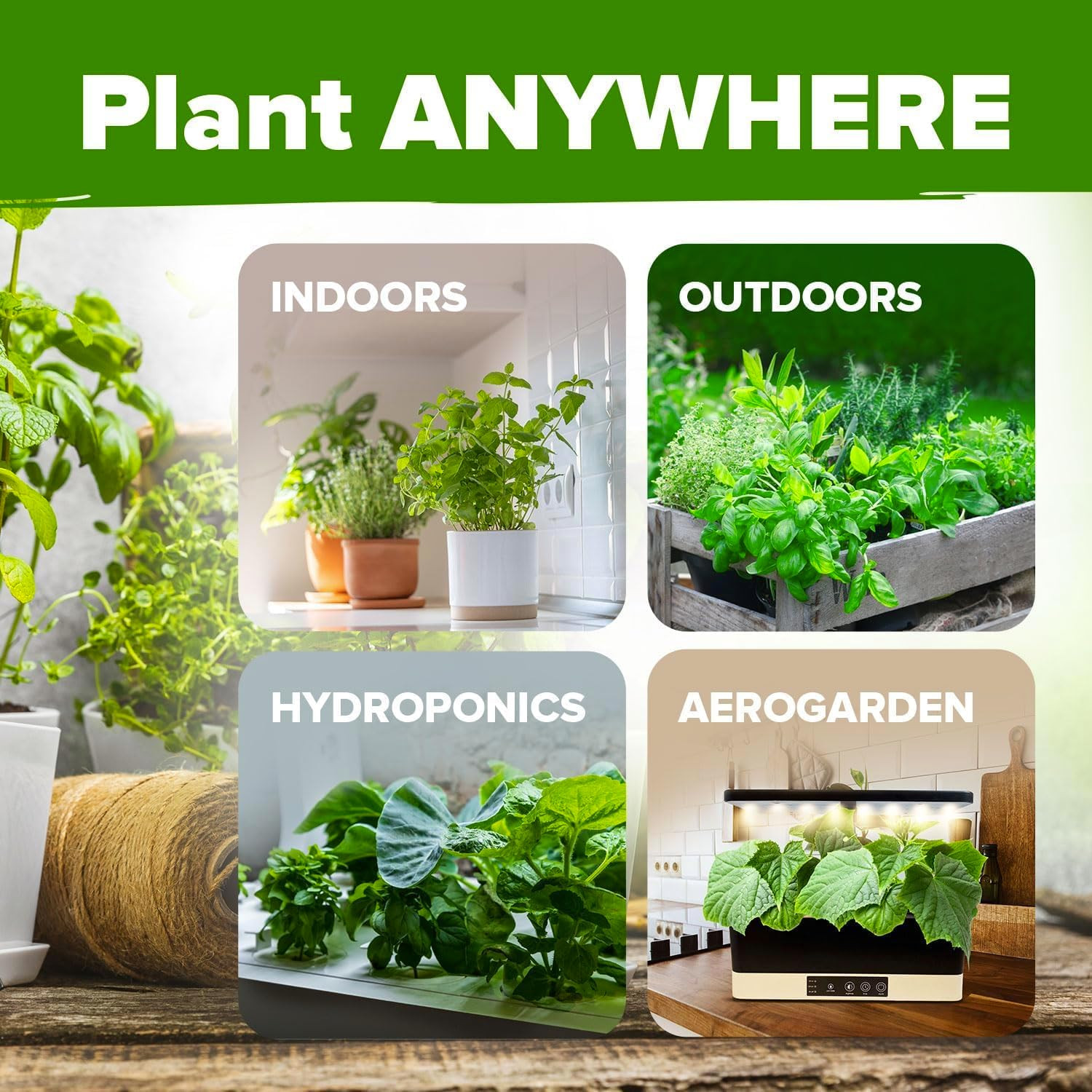 10 Culinary Herb Seeds – Non-Gmo, Heirloom Seeds – 3000+ Seeds for Planting f…