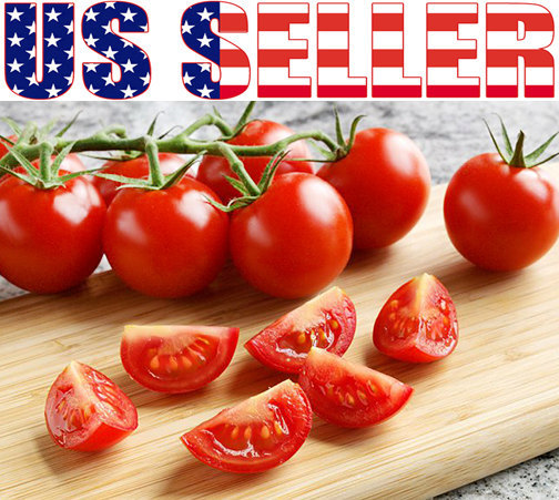 Porter Prolific tomato seeds non-gmo heirloom open pollinated