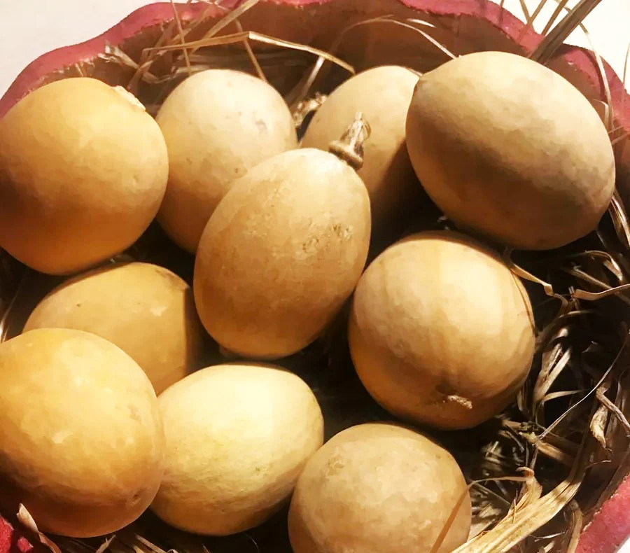 Ozark Nest Egg Ornamental Gourd Seeds – For 2025 Planting Dragon Eggs Cucumber
