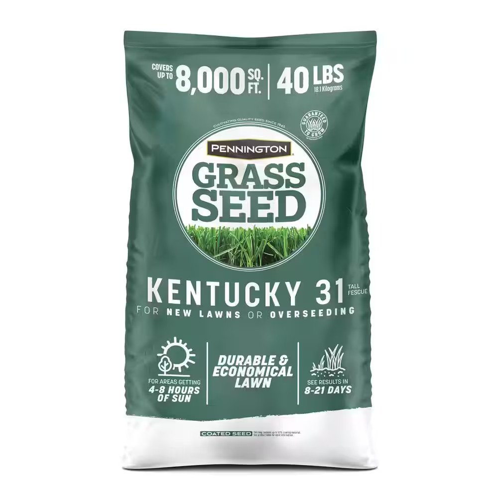 Kentucky 31-Tall Fescue Grass Seeds for Lawn 40 Lbs. 8,000 Sq. Ft. Bulk Grass Se