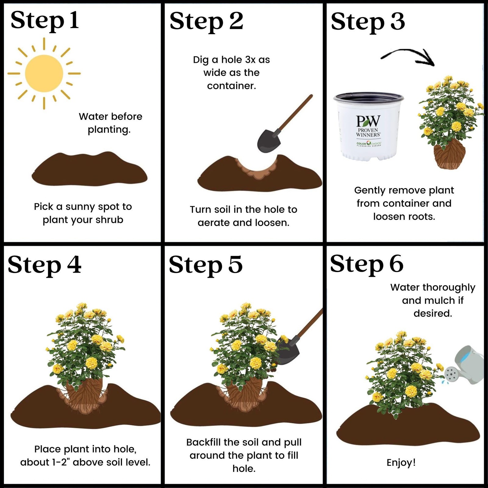 Proven Winners 2 Gal. Rise Up Ringo Climbing Rose Shrub