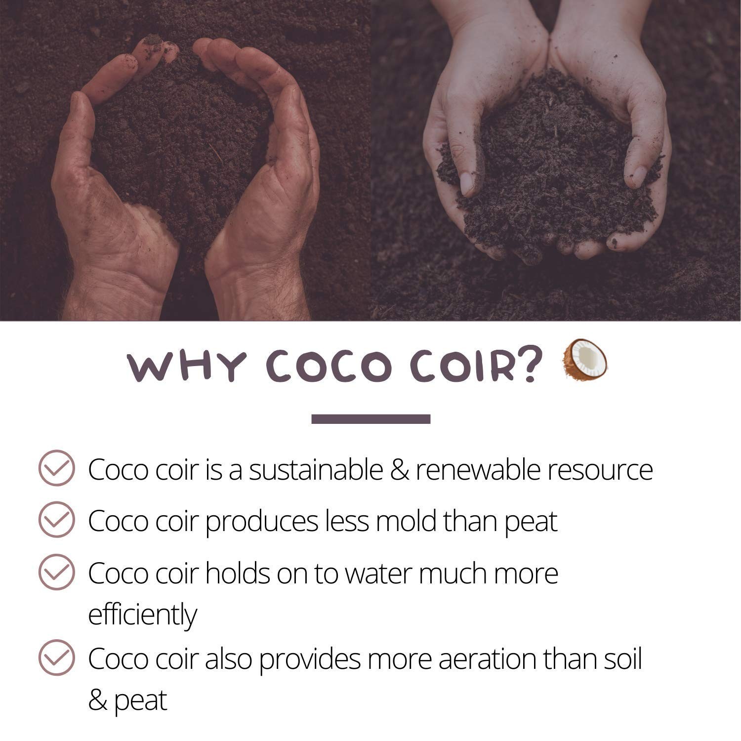 100 Pack Coconut Coir Seed Starting Pellets 42mm – Sustainable Peat Plugs, High
