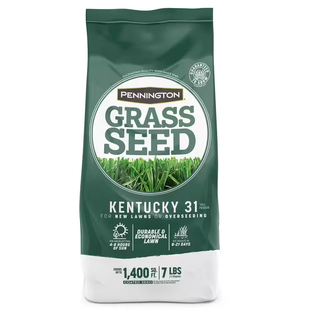 Kentucky 31 Tall Fescue 7 Lb. 1,400 Sq. Ft. Grass Seed