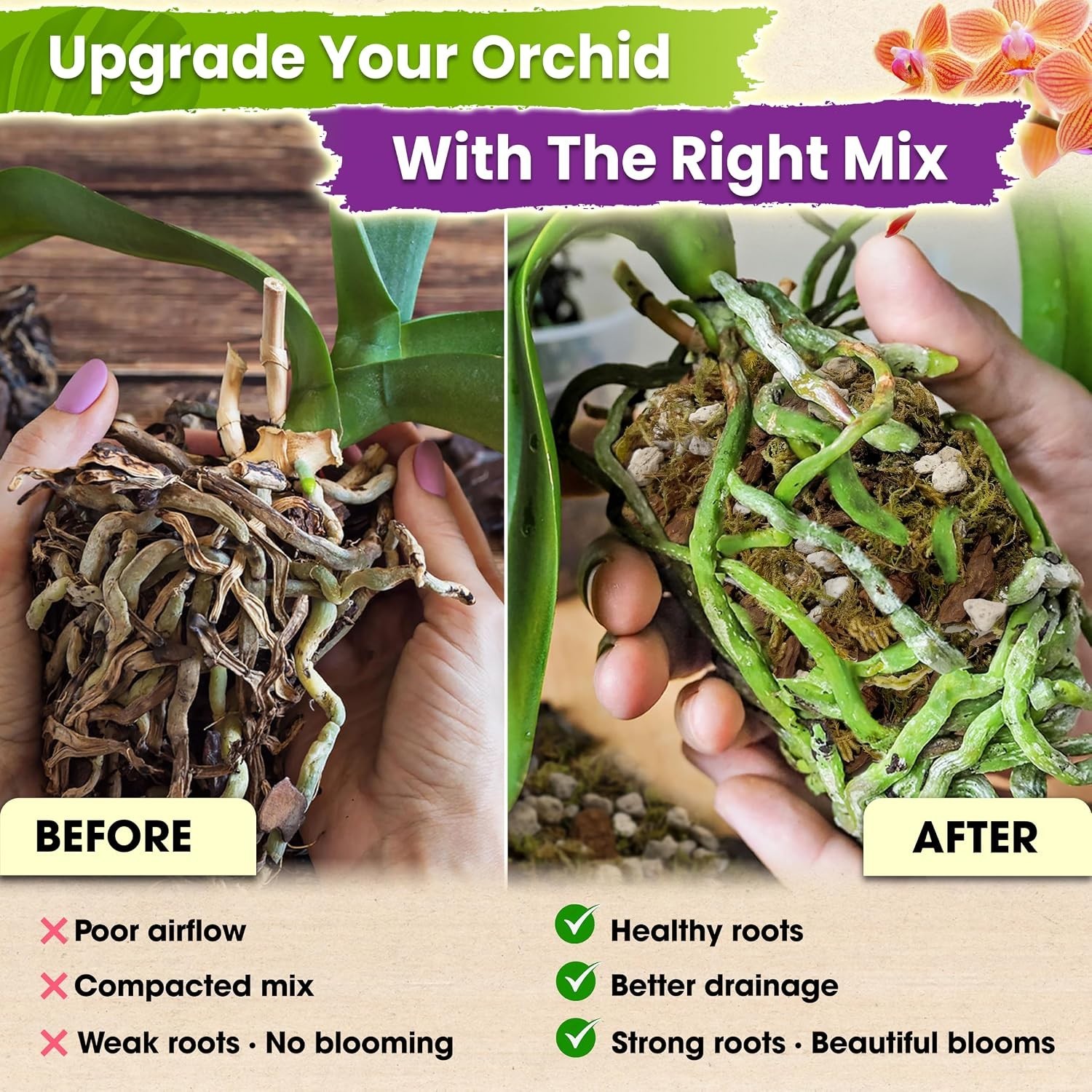 Orchid Potting Mix with Forest Moss & Pumice, 10QT