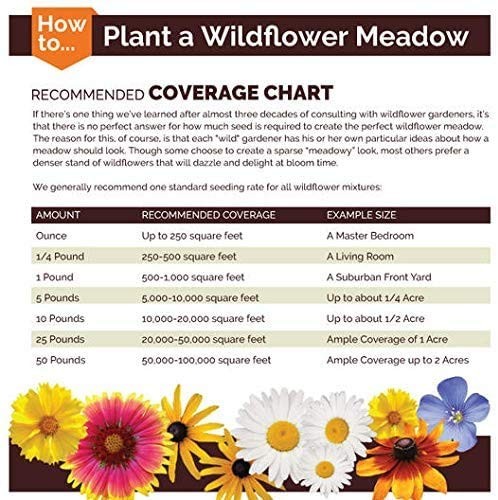 Non GMO Bulk Calendula Seeds Fancy Mix Calendula Officinalis 1/4 Lb Pouch