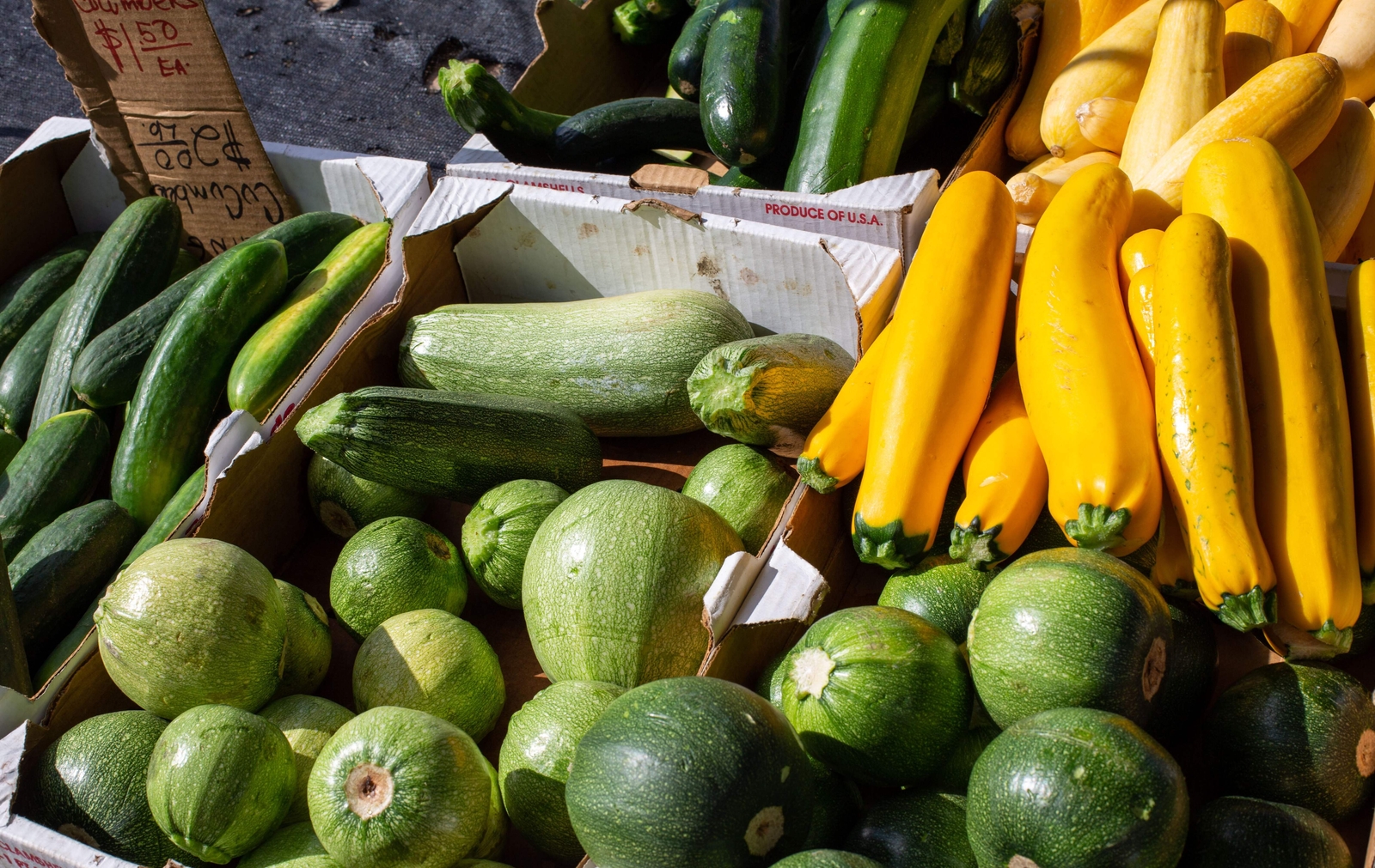 35 Sweet TATUME SQUASH Cucurbita Pepo Calabash Calabacita Mexican Zucchini Seeds