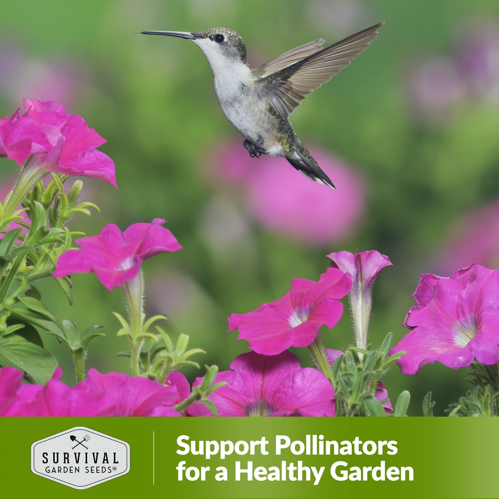 Hummingbird Flower Seeds for Planting – (1 Pack)