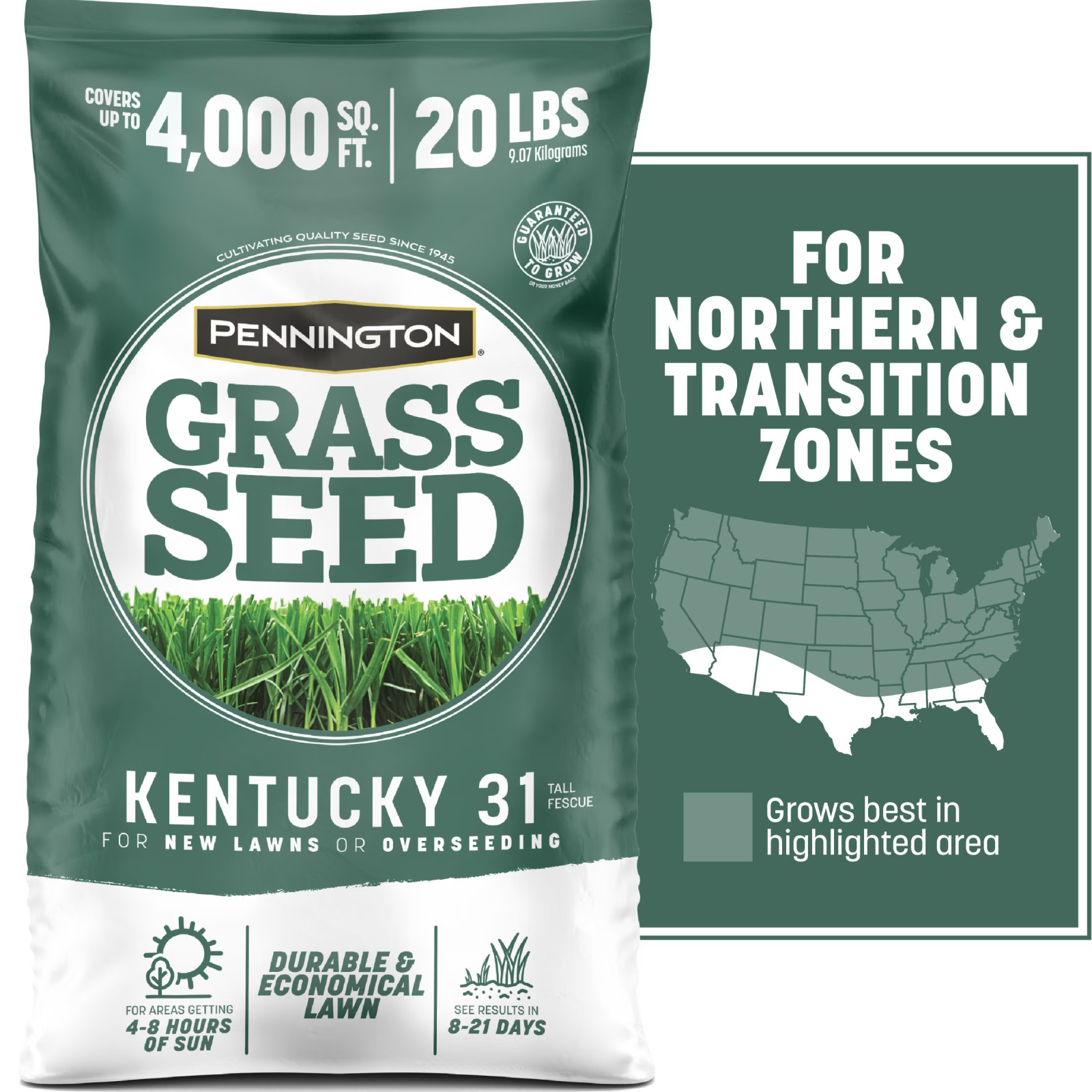 Pennington Kentucky 31 Tall Fescue Grass Seed 20 lb Sun & Shade Lawn Seed