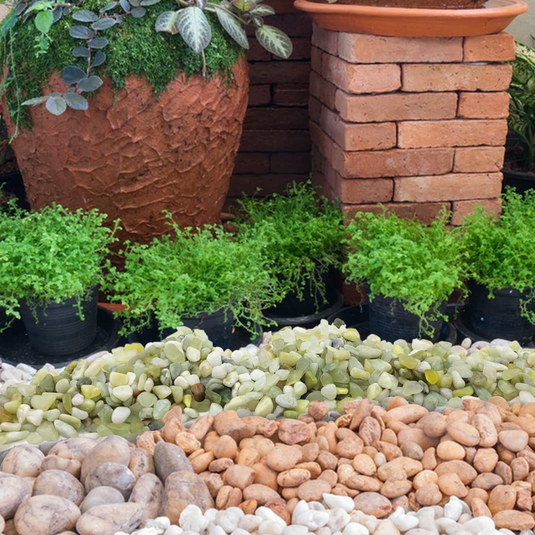 YISZM 2LB Succulent and Cactus Jade Pebbles, 3/8 Inch Natural 2 Pounds,