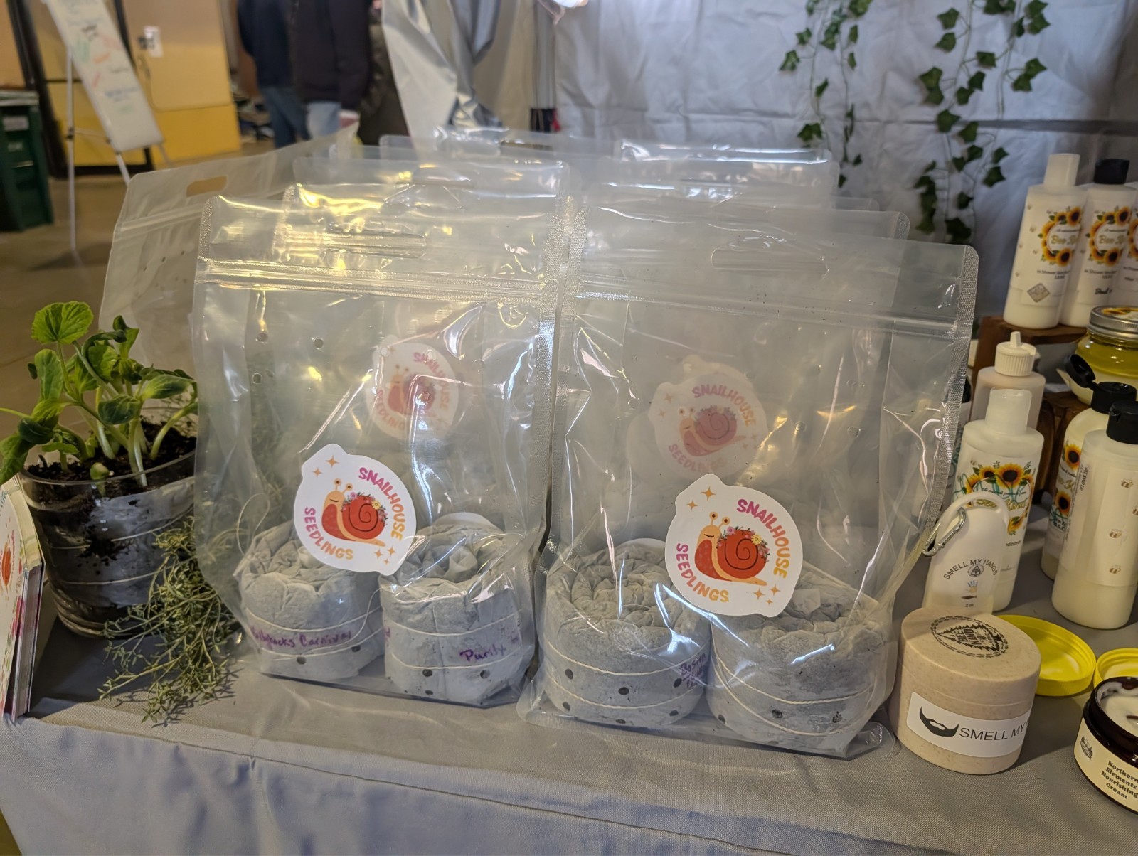 Red Corn Poppy – SEED SNAIL- Packed with seeds and ready to grow!