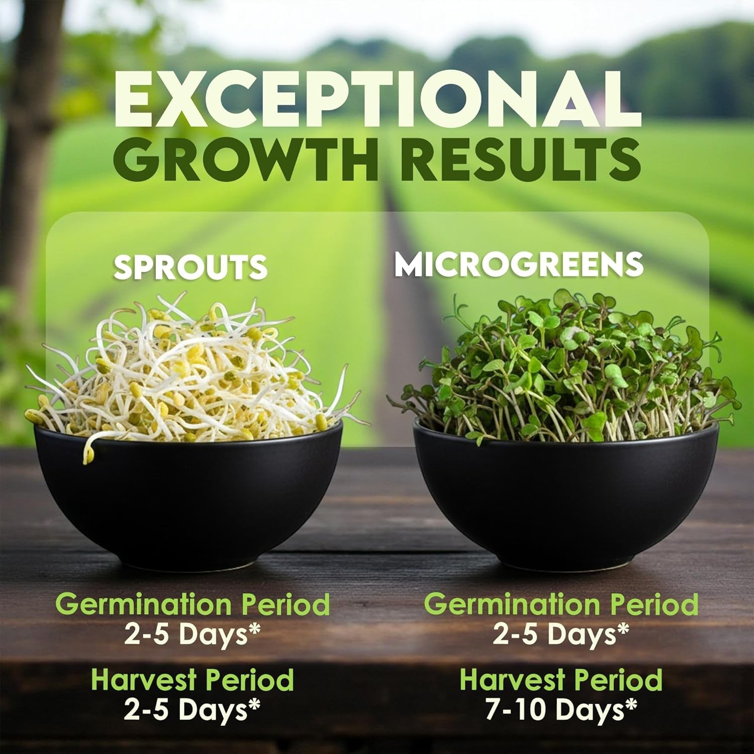 Nature Jim’s Organic Broccoli Sprouting Seeds – Non-GMO, Rich in Sulforaphane, F