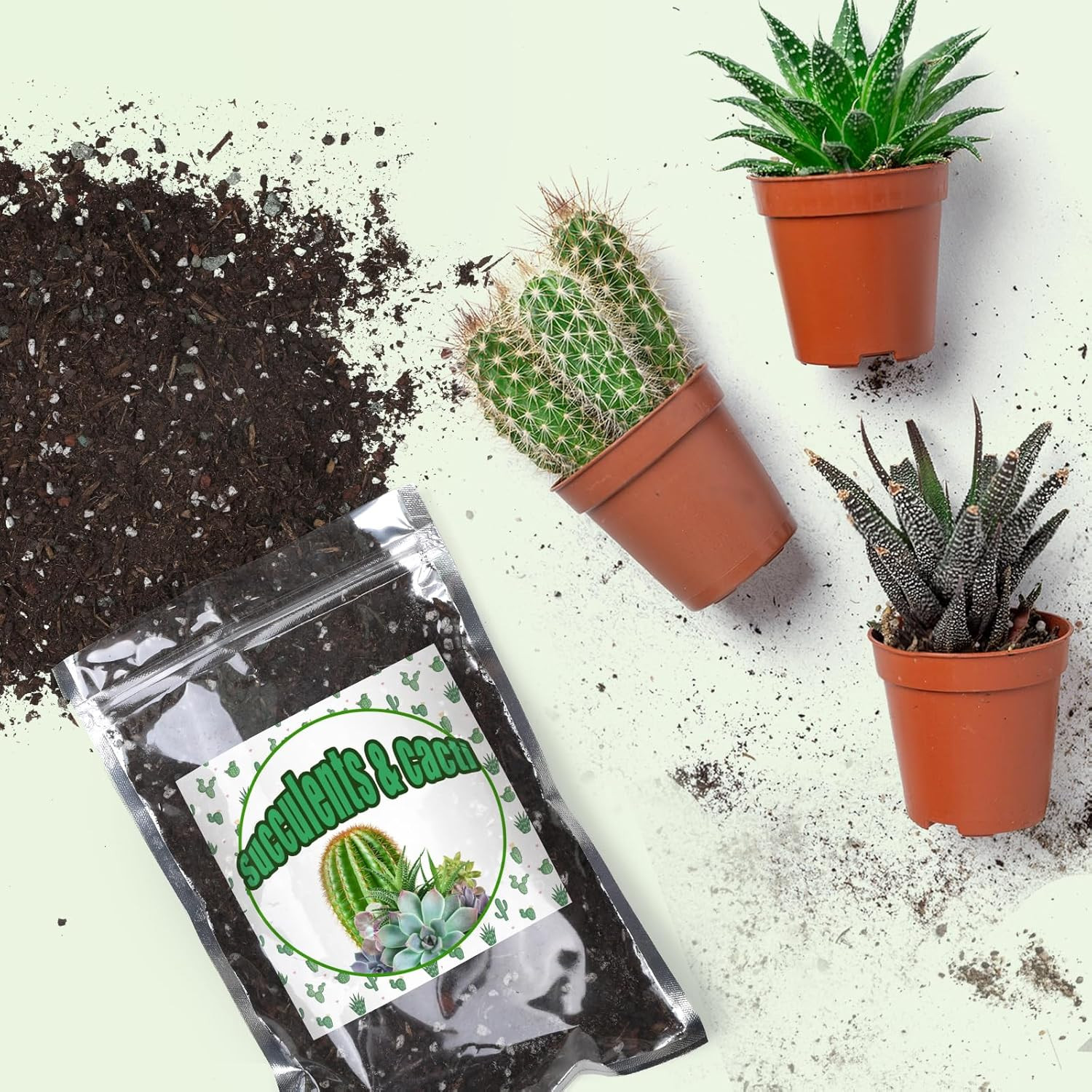 Cactus & Succulent Soil Mix 1Qt, Chunky Well-Draining Soil for Indoor Plants – S