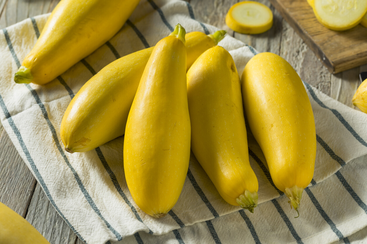 5 Species Summer Squash Mix Seeds | 3 Zucchinis Patty Pan etc 2024 Fast Shipping