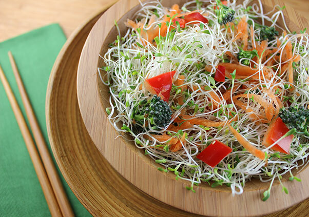 Sprouting Seeds Organic Alfalfa Seed USA Product 8oz 100,000 seed Great Taste