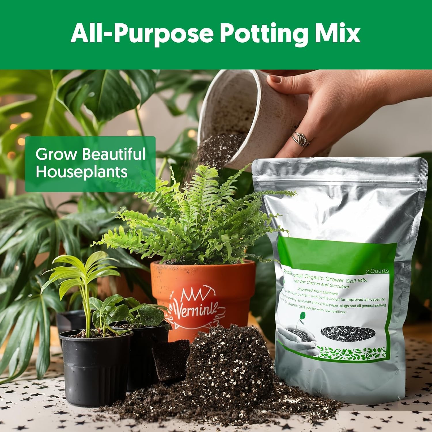 Succulent Cactus Potting Soil Mix (2 qt), All-Purpose Garden 2 qt
