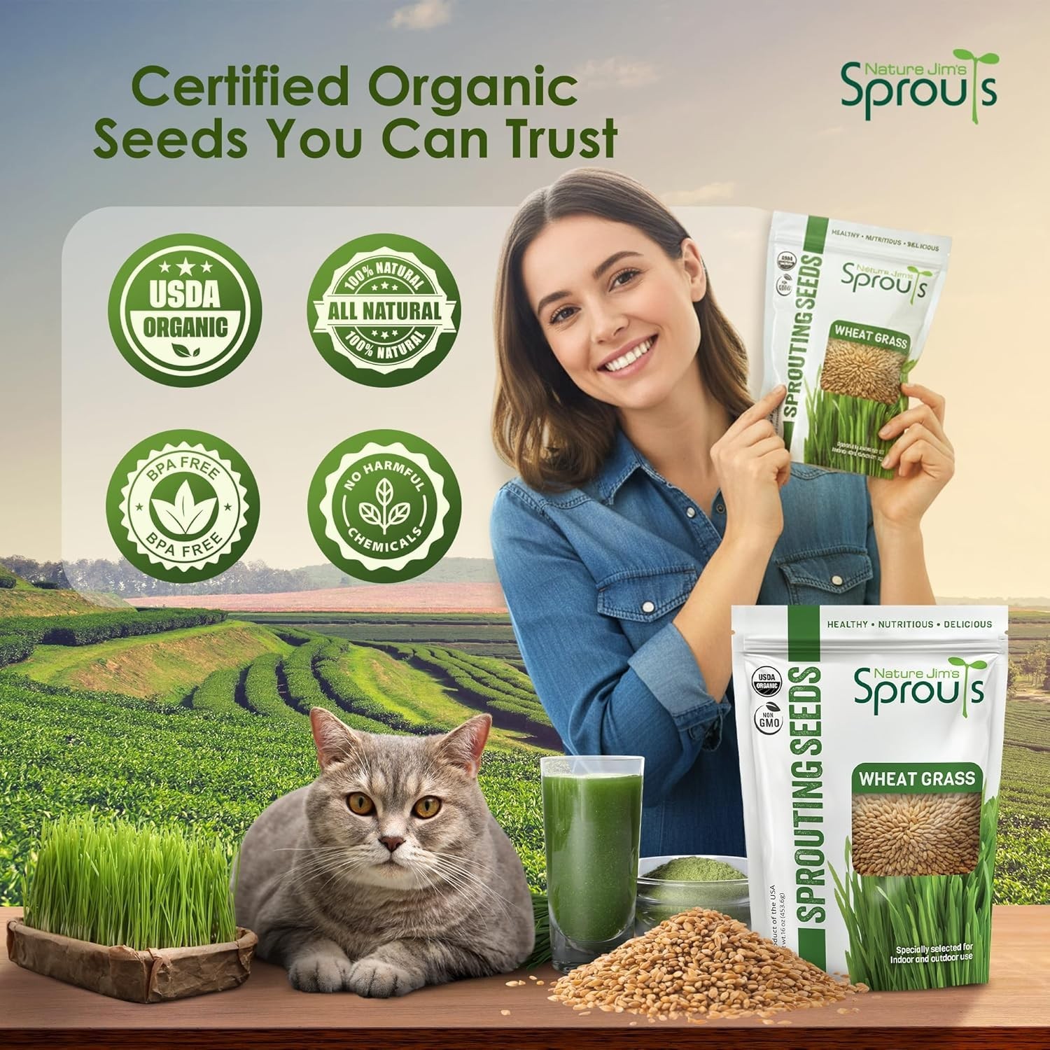 Organic Wheat Grass Seeds – Non-GMO, Cat Grass Treats Sprouting Seeds – Resea…