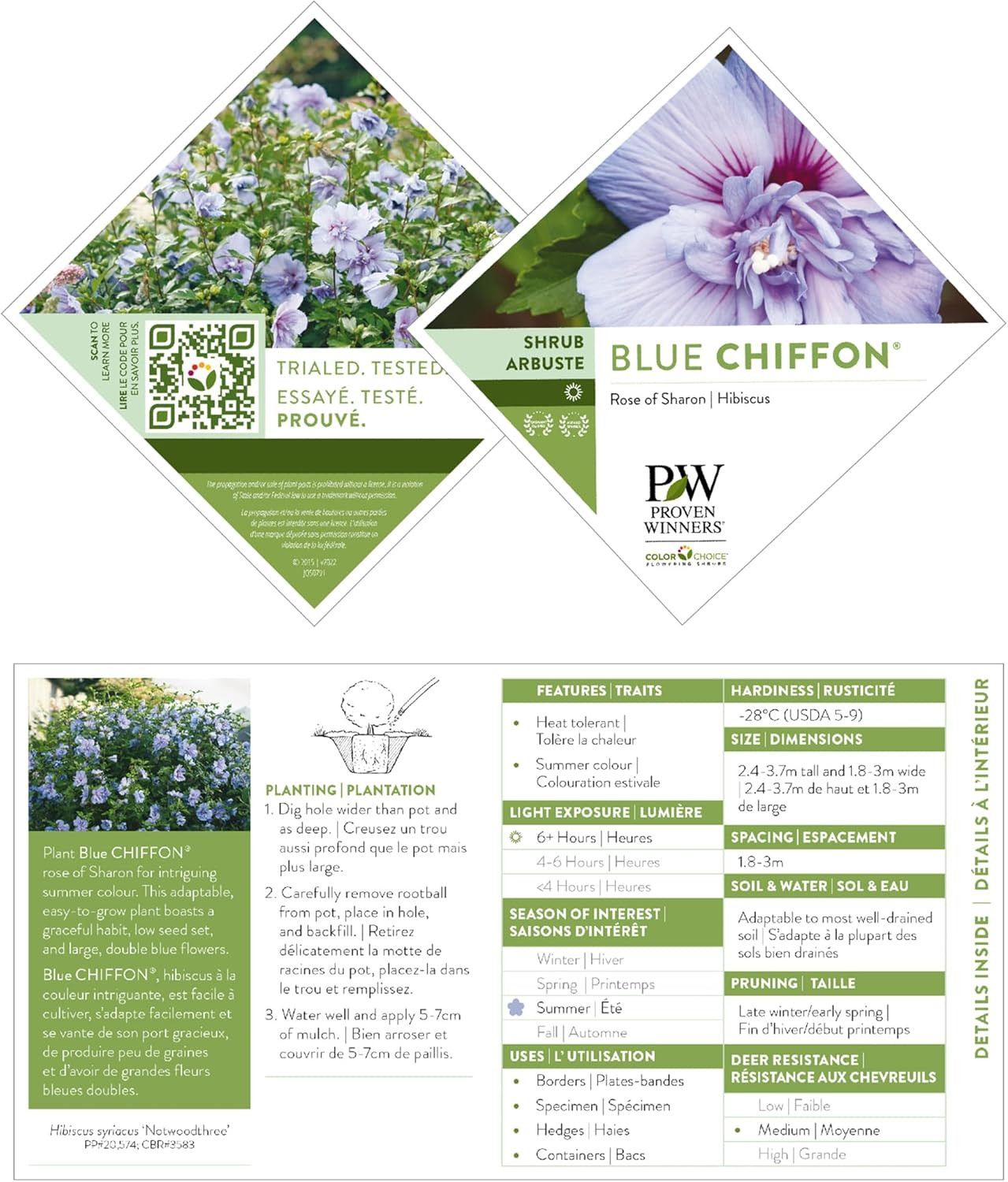 2 Gallon s Blue Chiffon Hibiscus Shrub