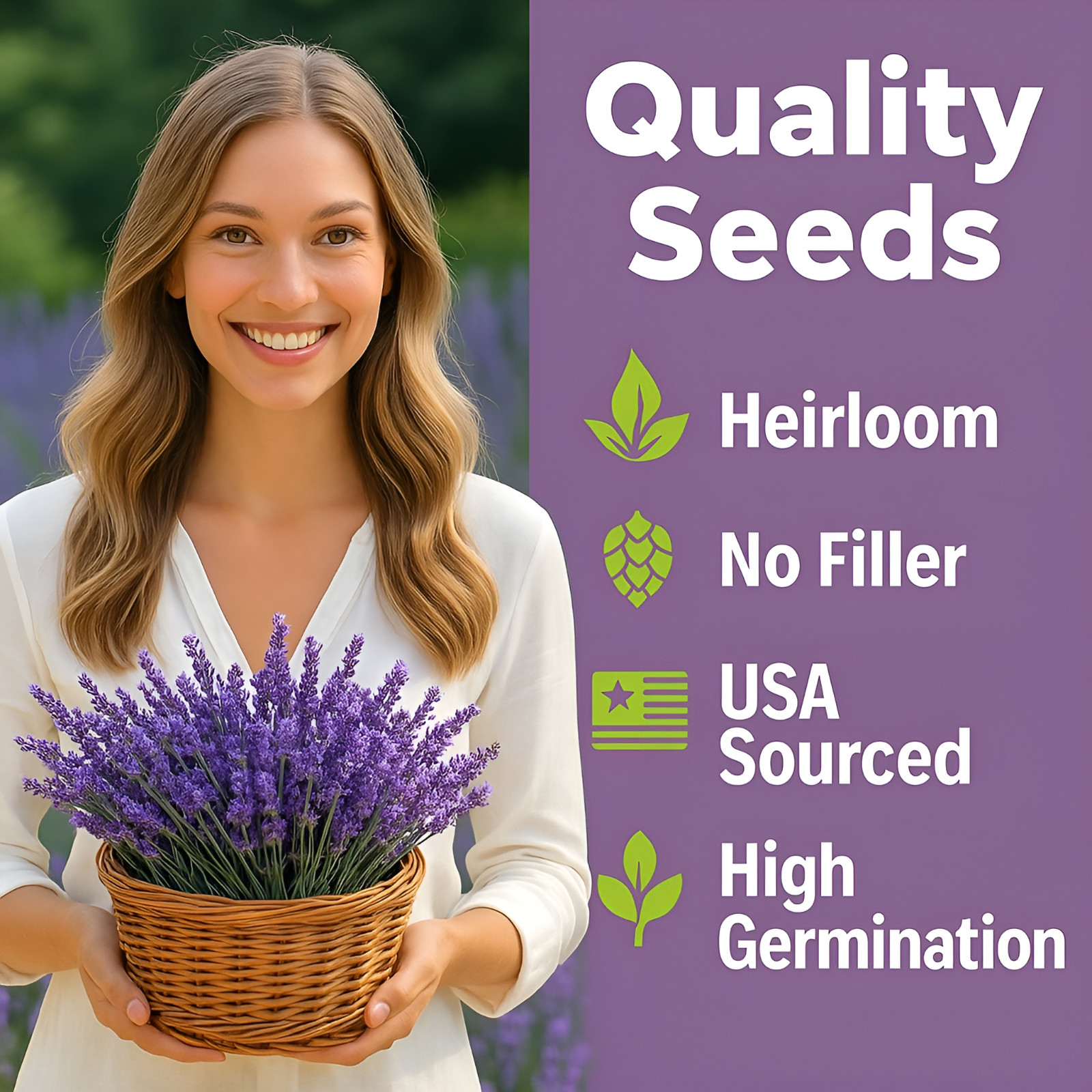 2,000 Premium English Lavender Seeds Non-GMO USA Grown Indoor Outdoor Planting
