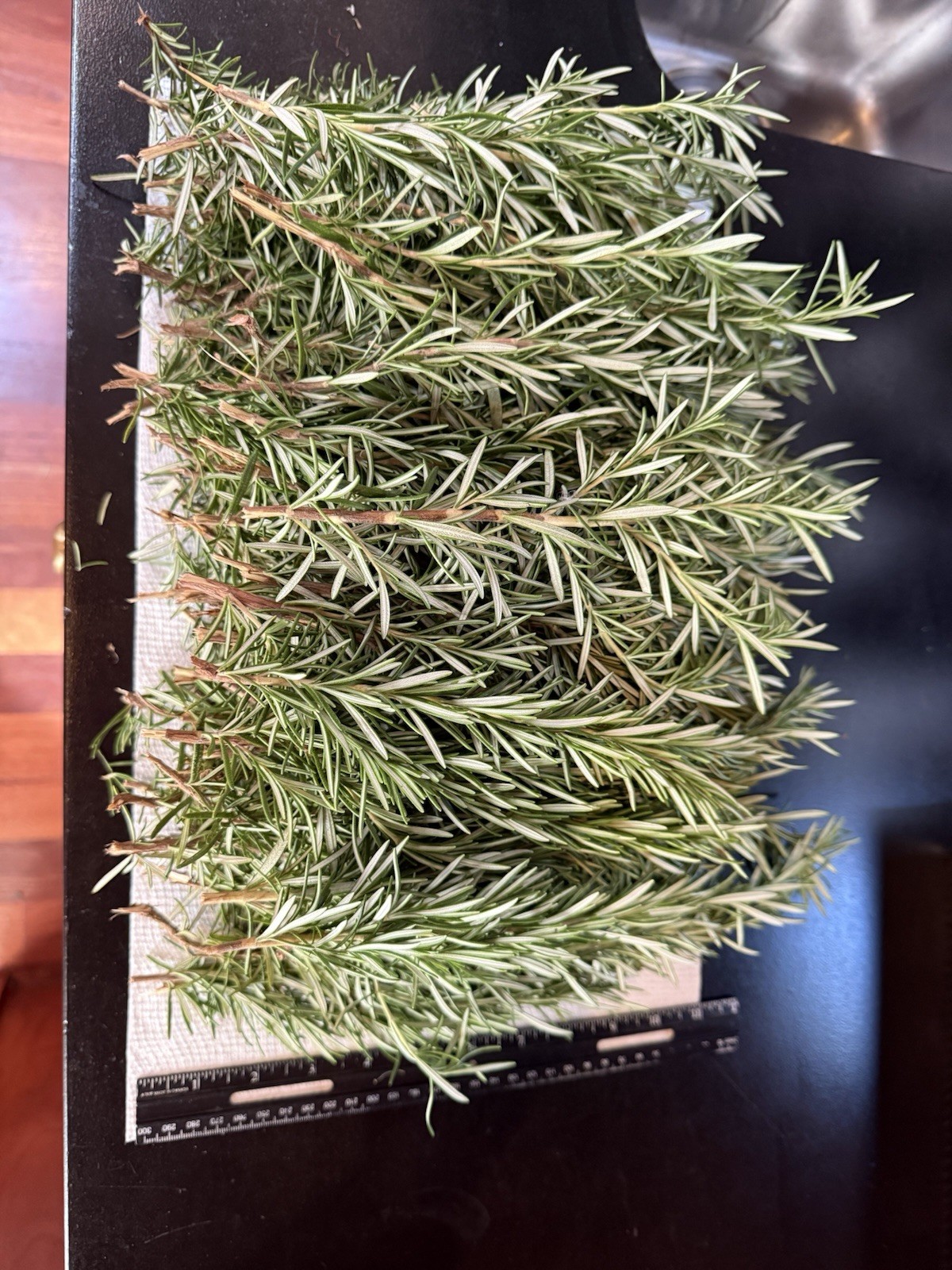 50 Fresh Organic Rosemary Stems, Cuts Fresh By Order,grown In San Francisco