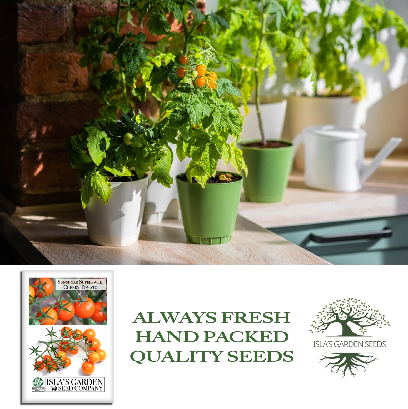 Sunsugar Supersweet Cherry Tomato Seeds Lycopersicon lycopersicum – 20+ Heirl…