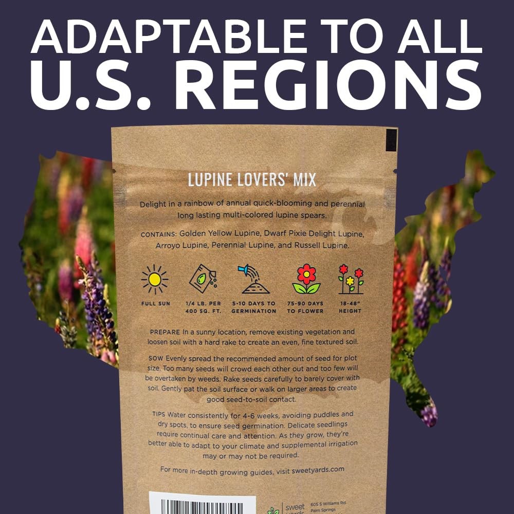 Bulk Lupine Mix Wildflower Seeds 1/4 Pound Bag – Over 4,500 Untreated Annual …