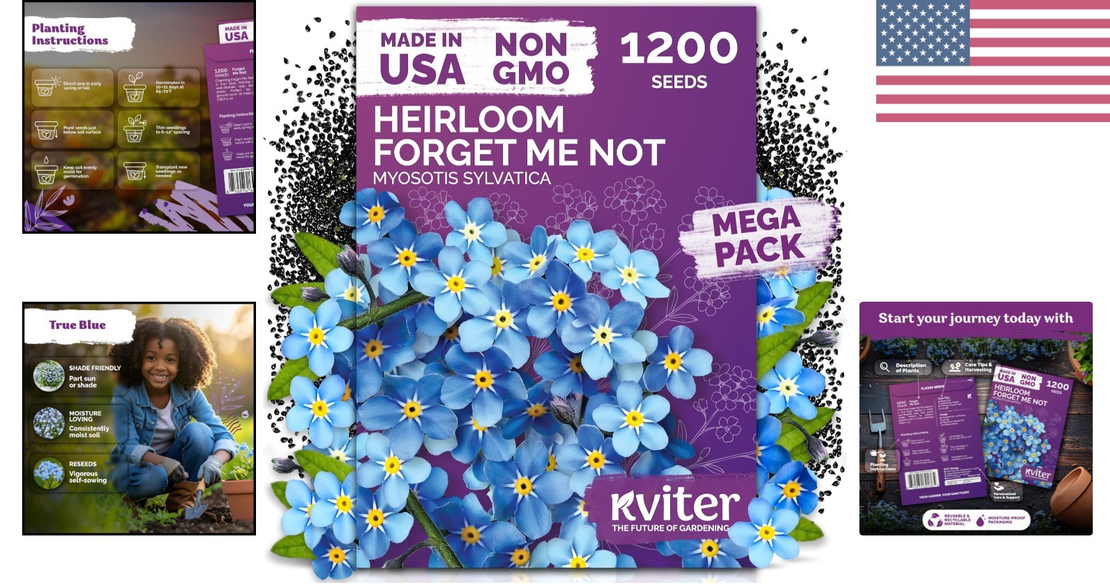 1200 Forget Me Not Myosotis sylvatica Seeds – Charming Blue Spring Flowers fo…