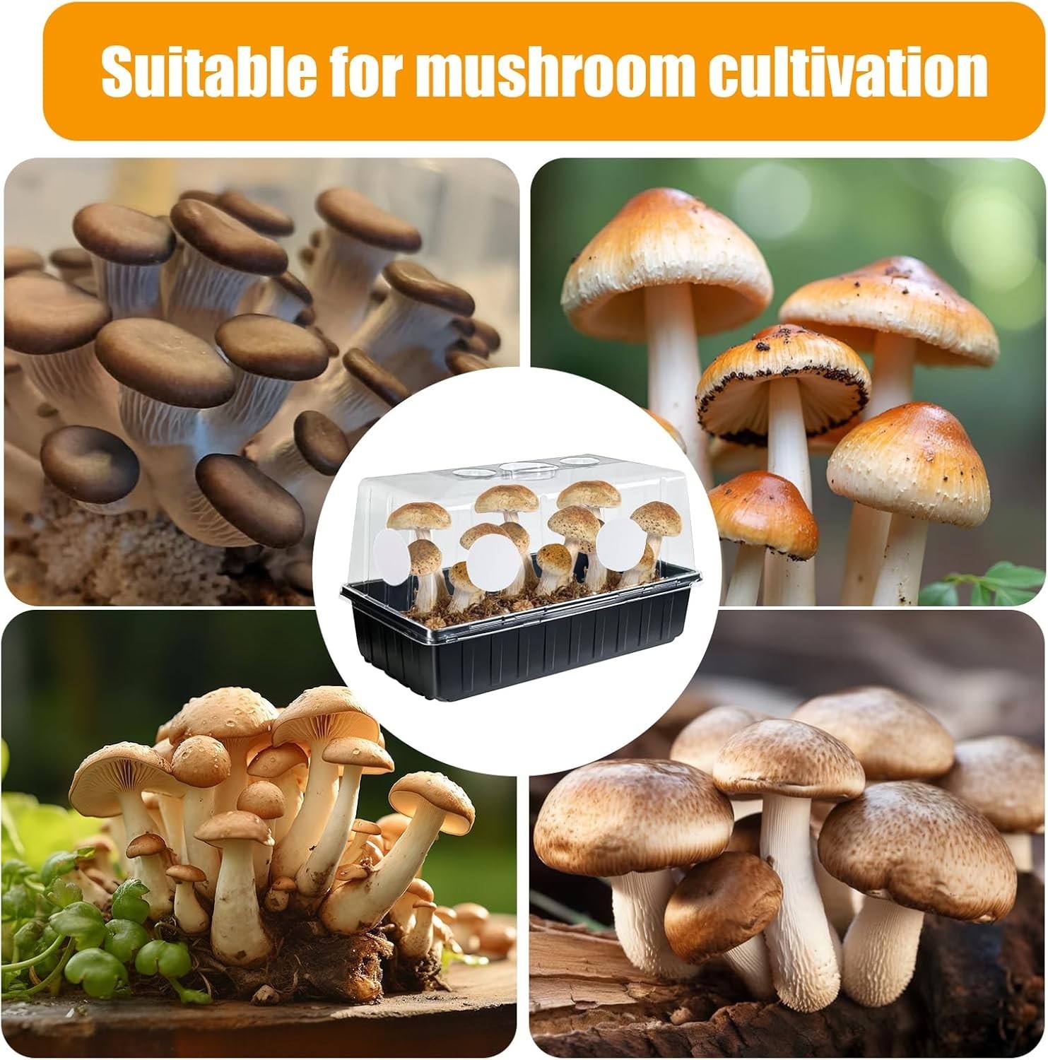 12PCS 2.5in Monotub Filter Disks – Optimal Adhesive Solution for Mushroom Growth