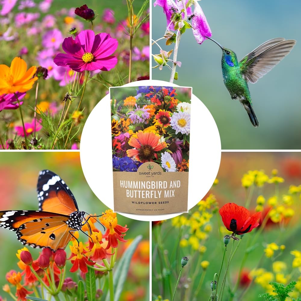 Bulk Wildflower Seeds Butterfly and Humming Bird Mix – 1/4 Pound Bag – Over 3…