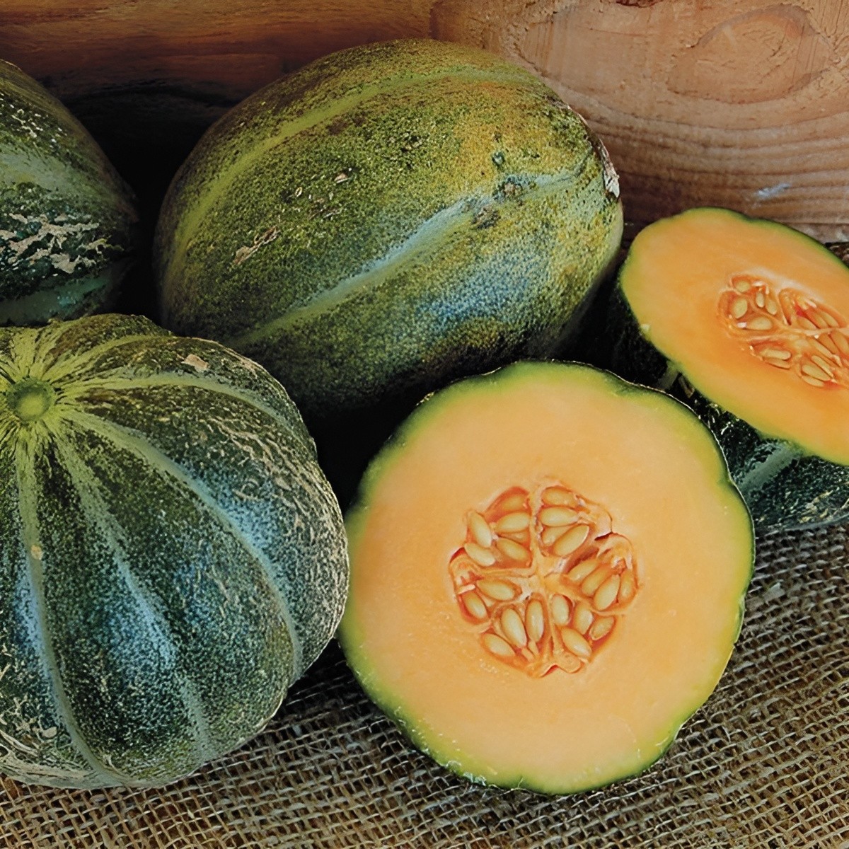 40ct Organic Heirloom Emerald Gem Melon Seeds -Intensely Sweet Rare Melon 3LB