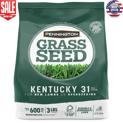 Kentucky 31 Tall Fescue Penkoted Grass Seed Durable Economical Lawn 3 LB NEW