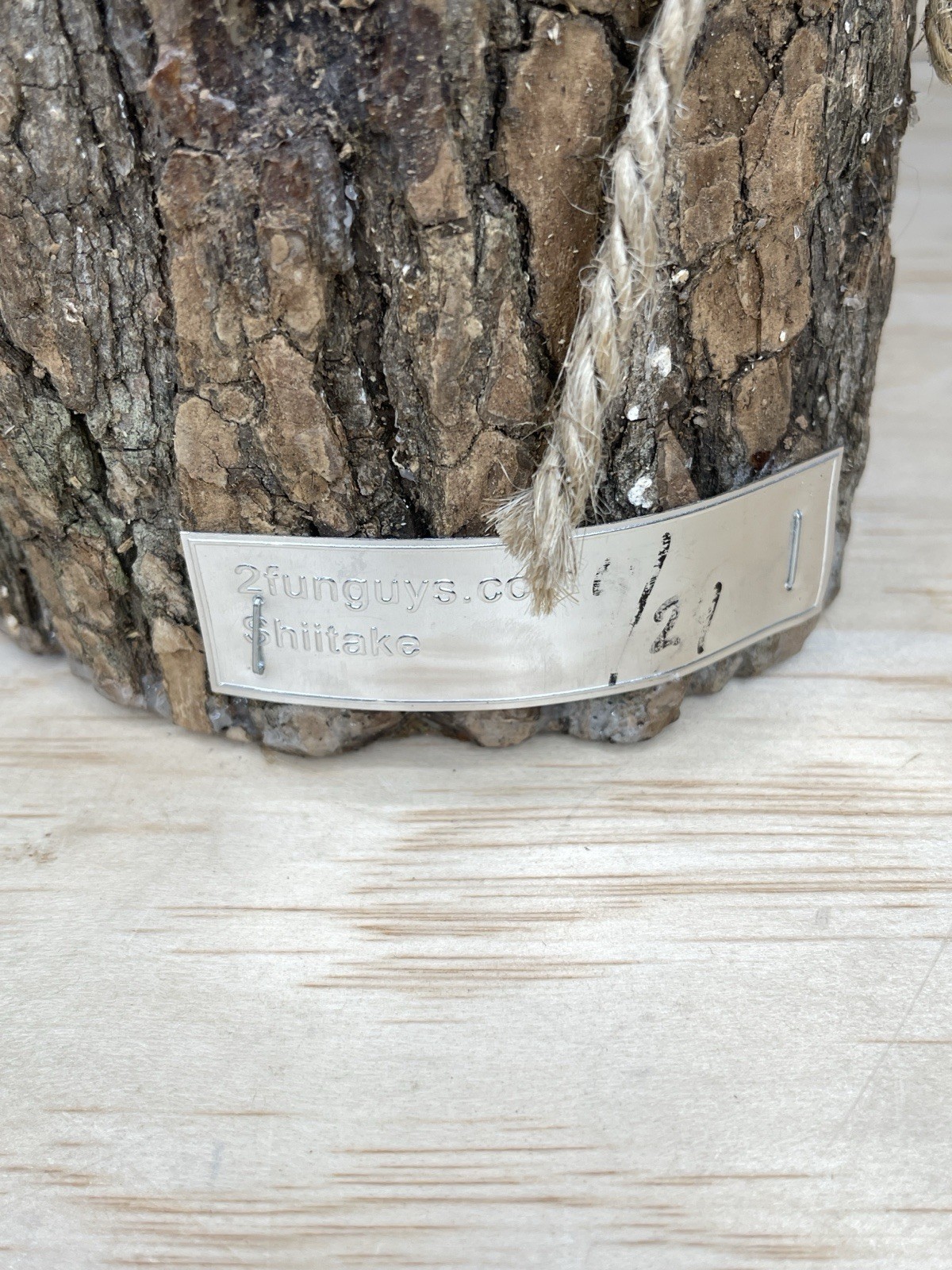 2FUNGUYS 12” MUSHROOM LOG shiitake Brand new never used