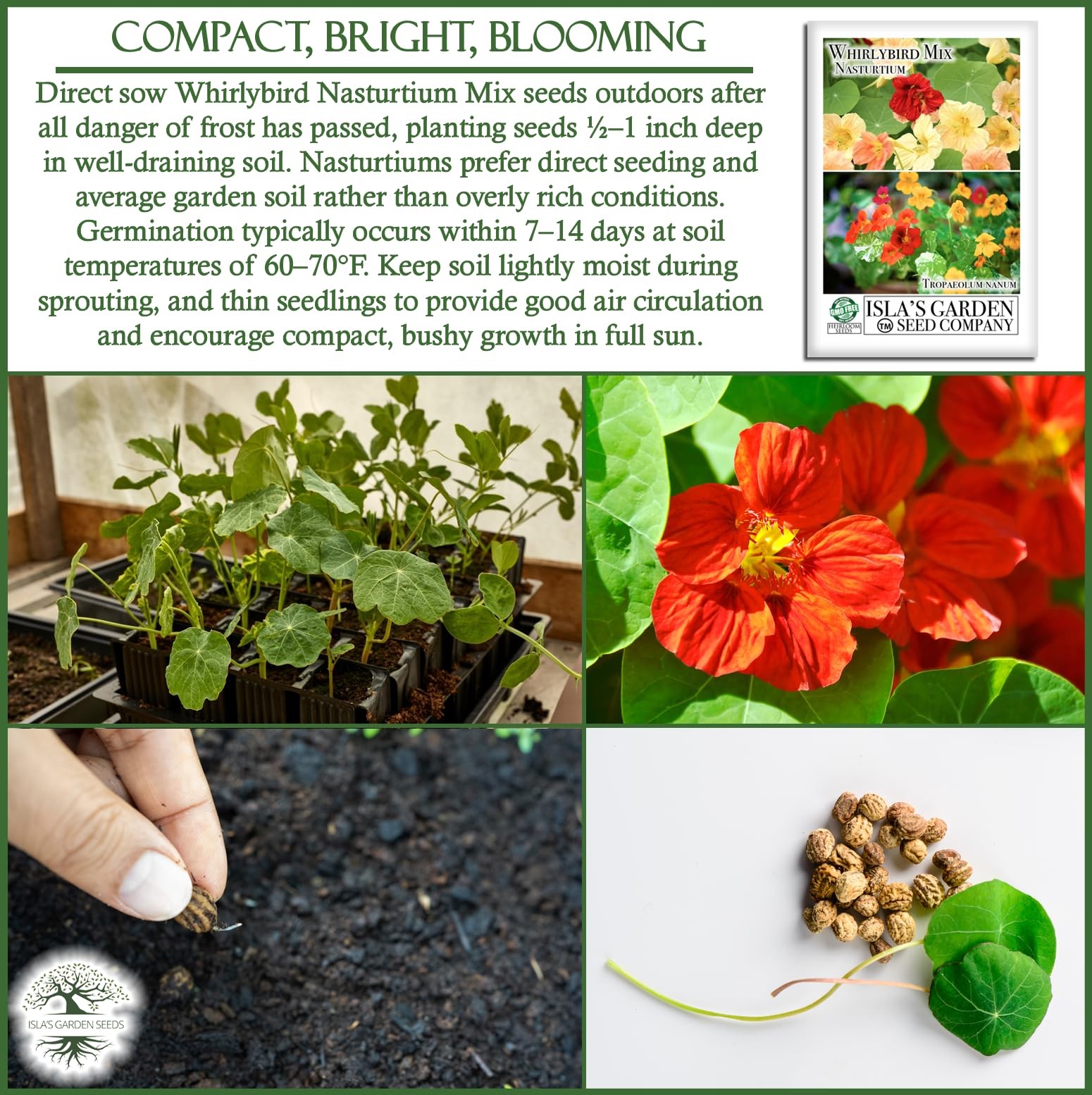 Mix Nasturtium Seeds (Tropaeolum nanum) – 50+ Heirloom Non-GMO Red