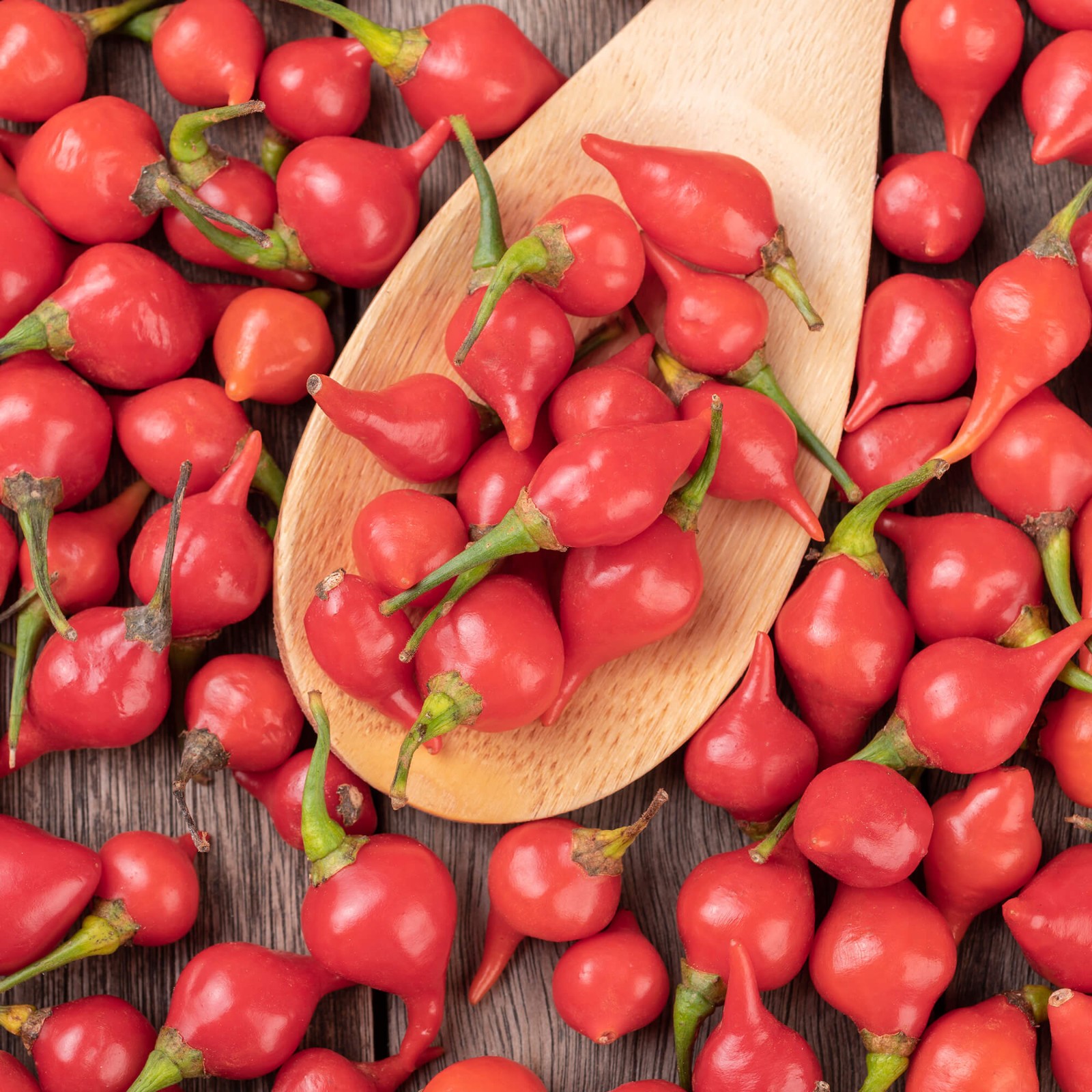 Red Biquinho Pepper Seeds | Brazilian Heirloom | Little Beak | Free Ship | 1283