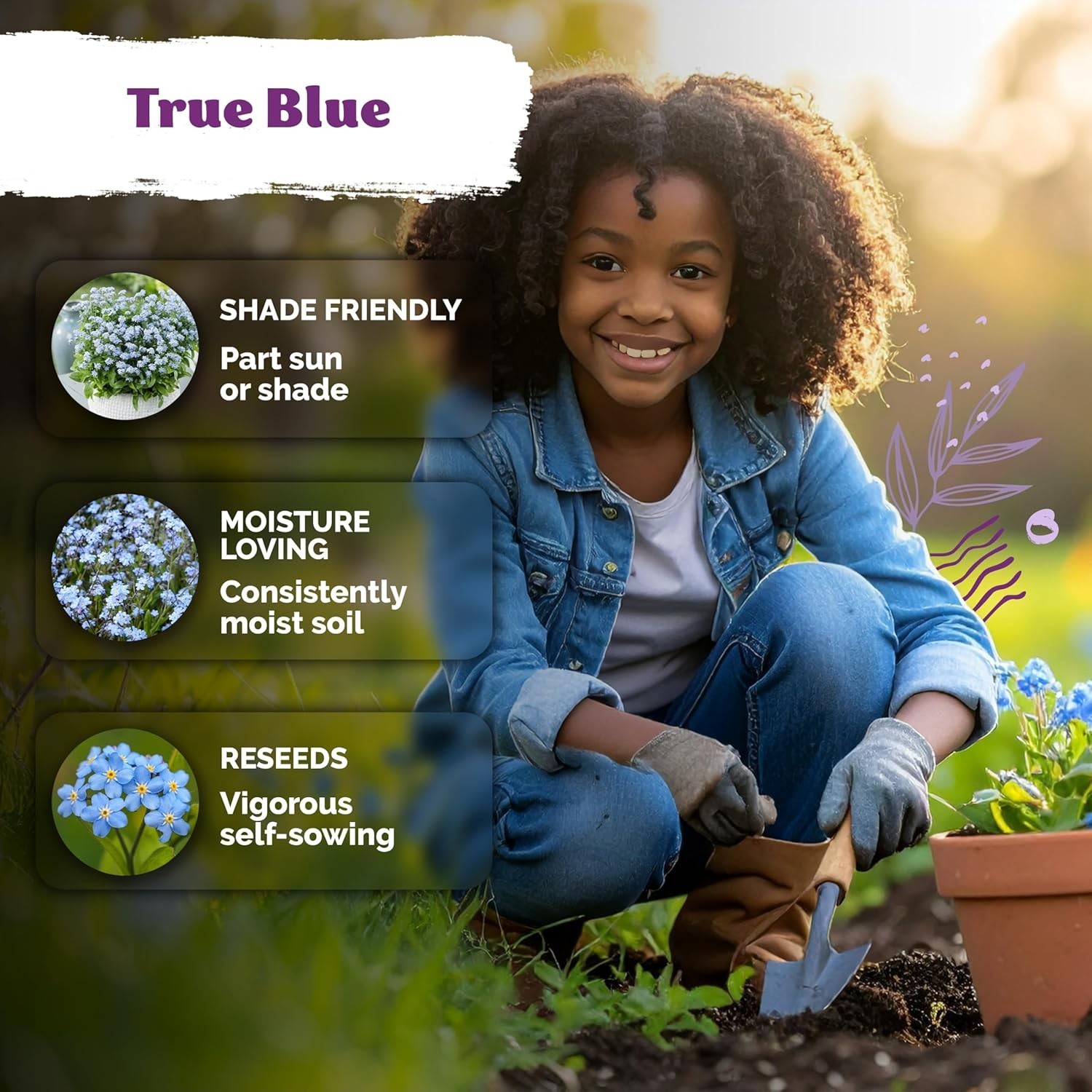 1200 Myosotis sylvatica Seeds – Blue Spring Flowers for Gardens