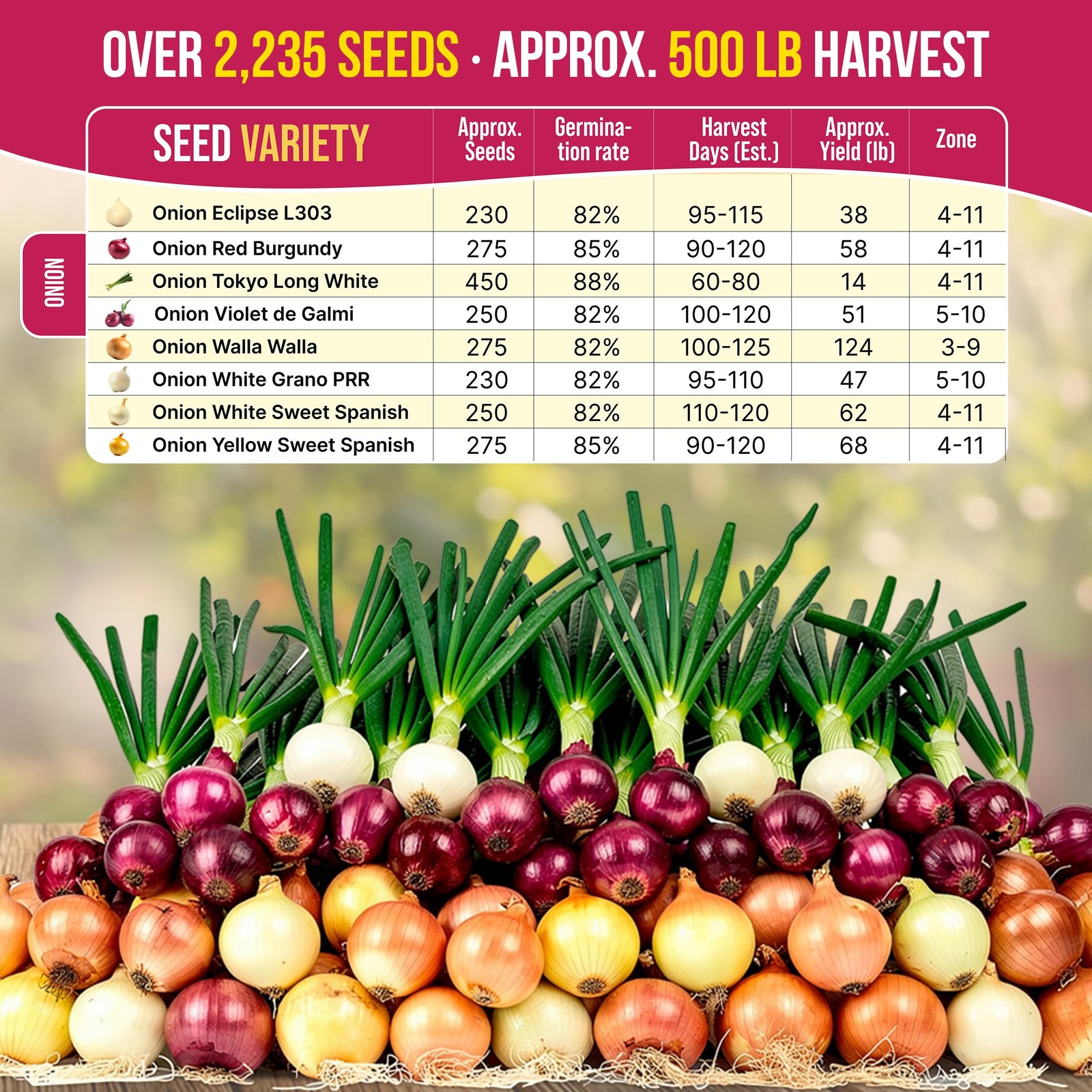 Organo Republic 8 Onion Seeds Variety Pack Green, Red, White, Yellow