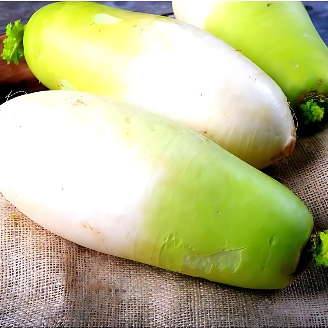 Fresh Korean Radish Seeds | Cheong Du | Heirloom | Non-GMO | Asian Vegetables