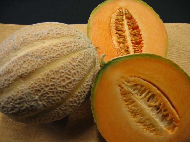 40 Rare Heirloom Pike Cantloupe Seeds Extremely Heat Tolerant 3-6LB Sweet Melon