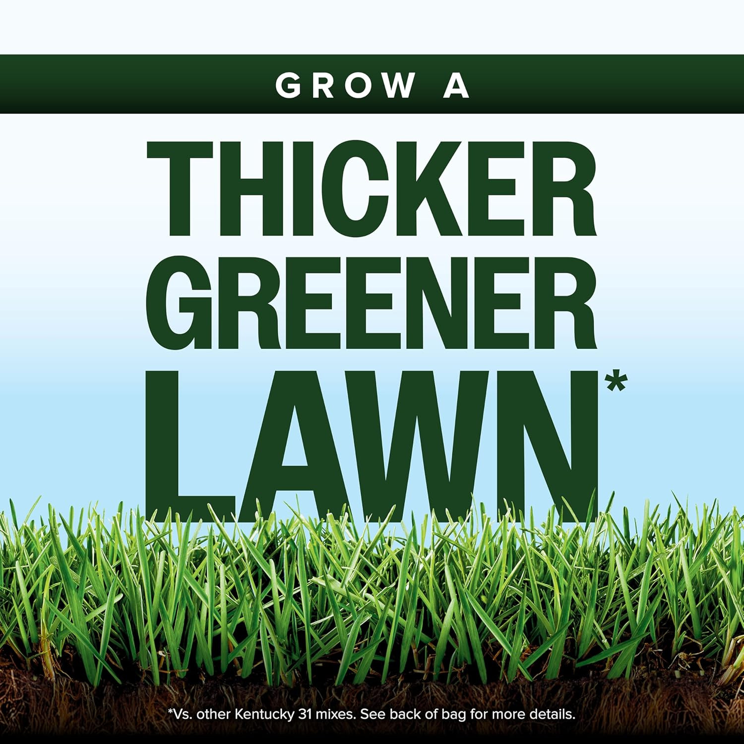 Grass Seed Mix for New Lawn Overseeding Garden Covers up to 10,000 Sq. Ft.