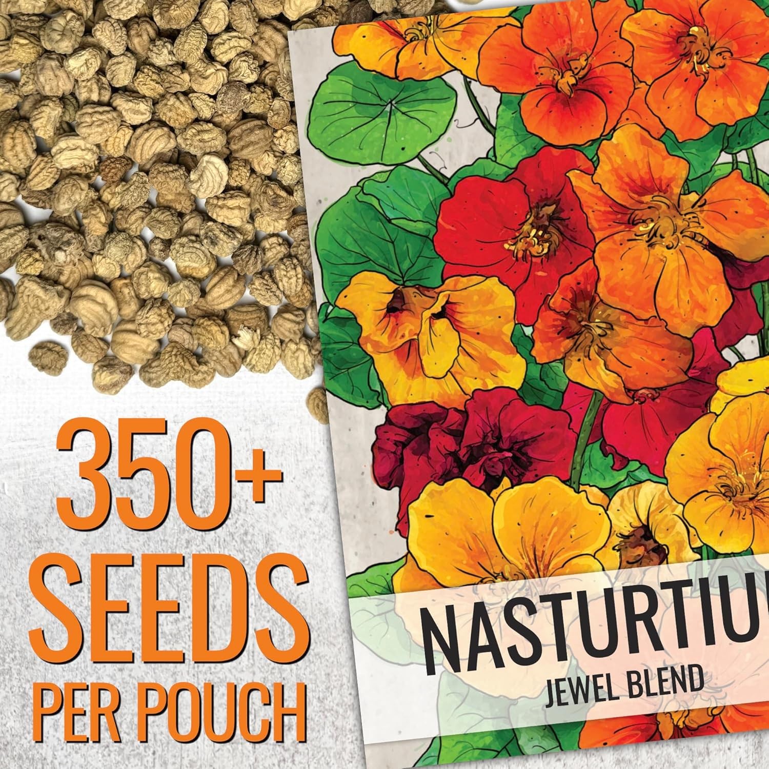 Seed Needs Nasturtium Seeds Jewel Mix Multicolored Edible Flowers | 1.5 Ounce
