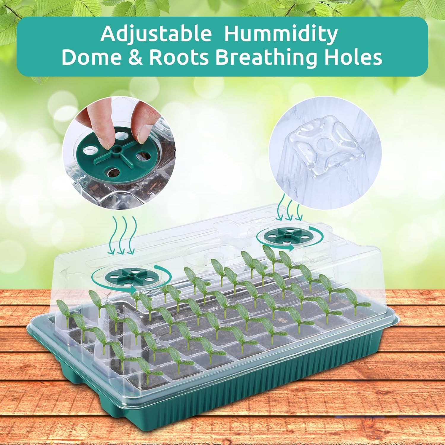2 Packs Seed Starter Tray with Grow Light , 40-Cell Seedling Starter Trays Kit