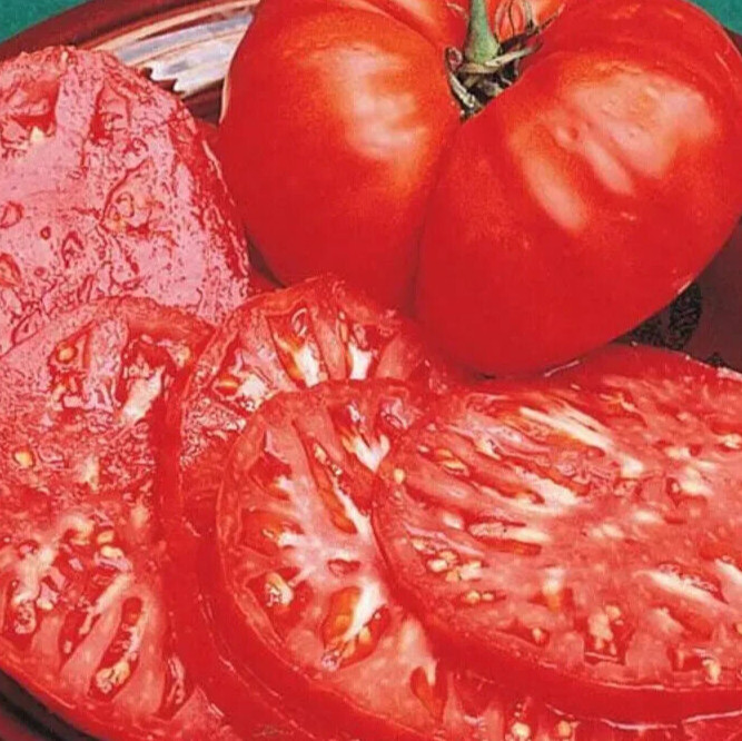 tomato, BEEFSTEAK meaty 1 lb fruit 35 SEEDS GroCo – BUY ANY 10 = FREE SHIPPING