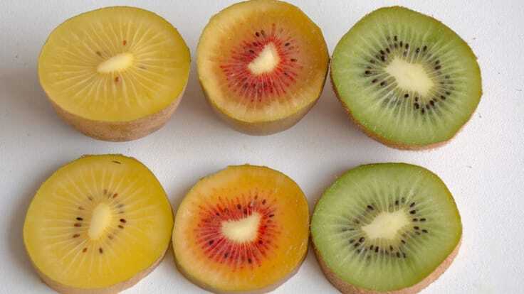 Kiwi Fruit Seeds All type of Golden Yellow Red Green Gooseberry Organic Non-GMO