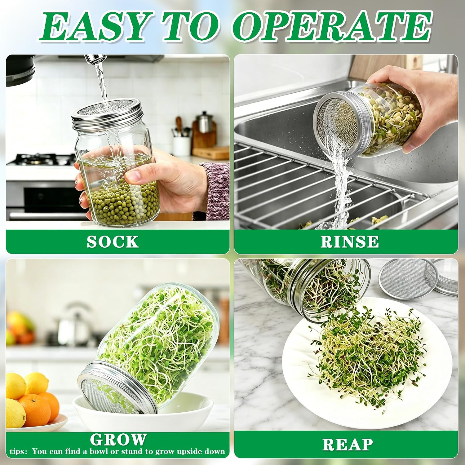 2-In-1 Seed Sprouting Set- Green Onion Regrower Kits – Onion Planter Scallion, G