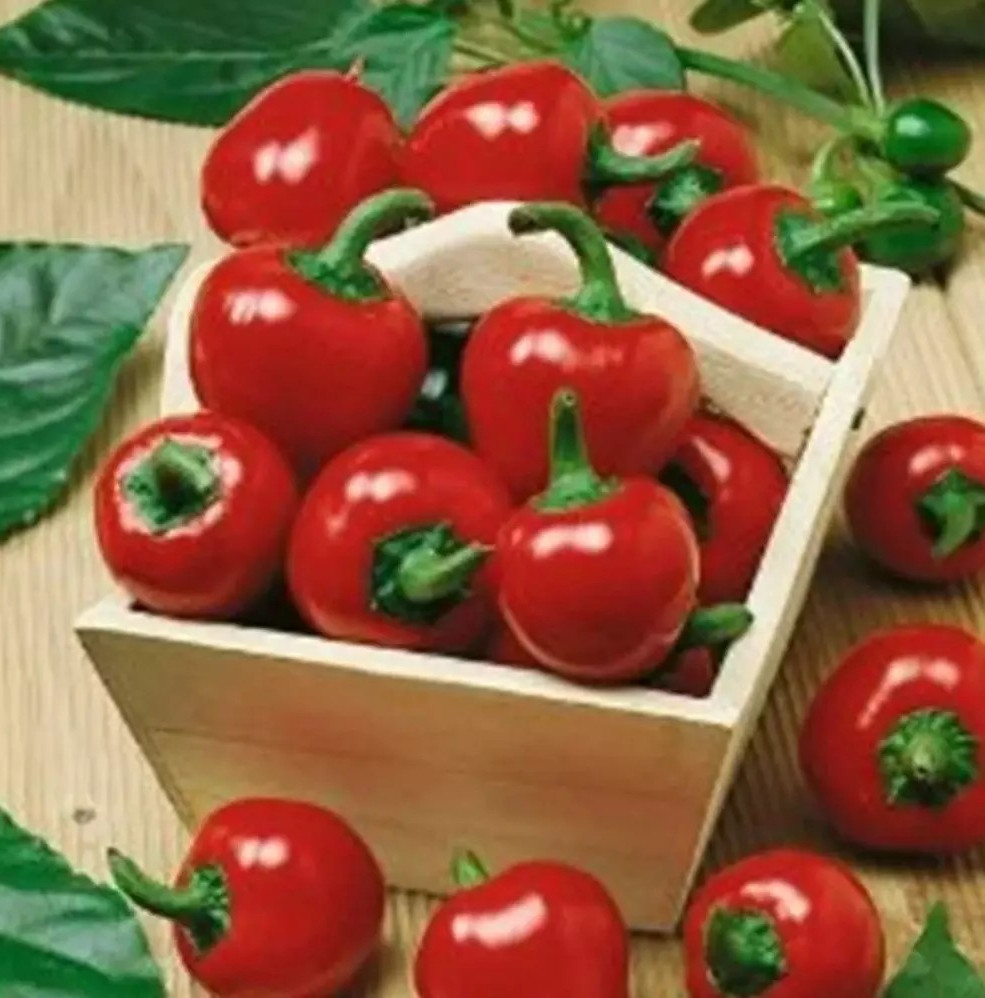 50+ Large Red Cherry Hot Pepper Seeds —– 3,000- 5,000 on the Scoville Scale