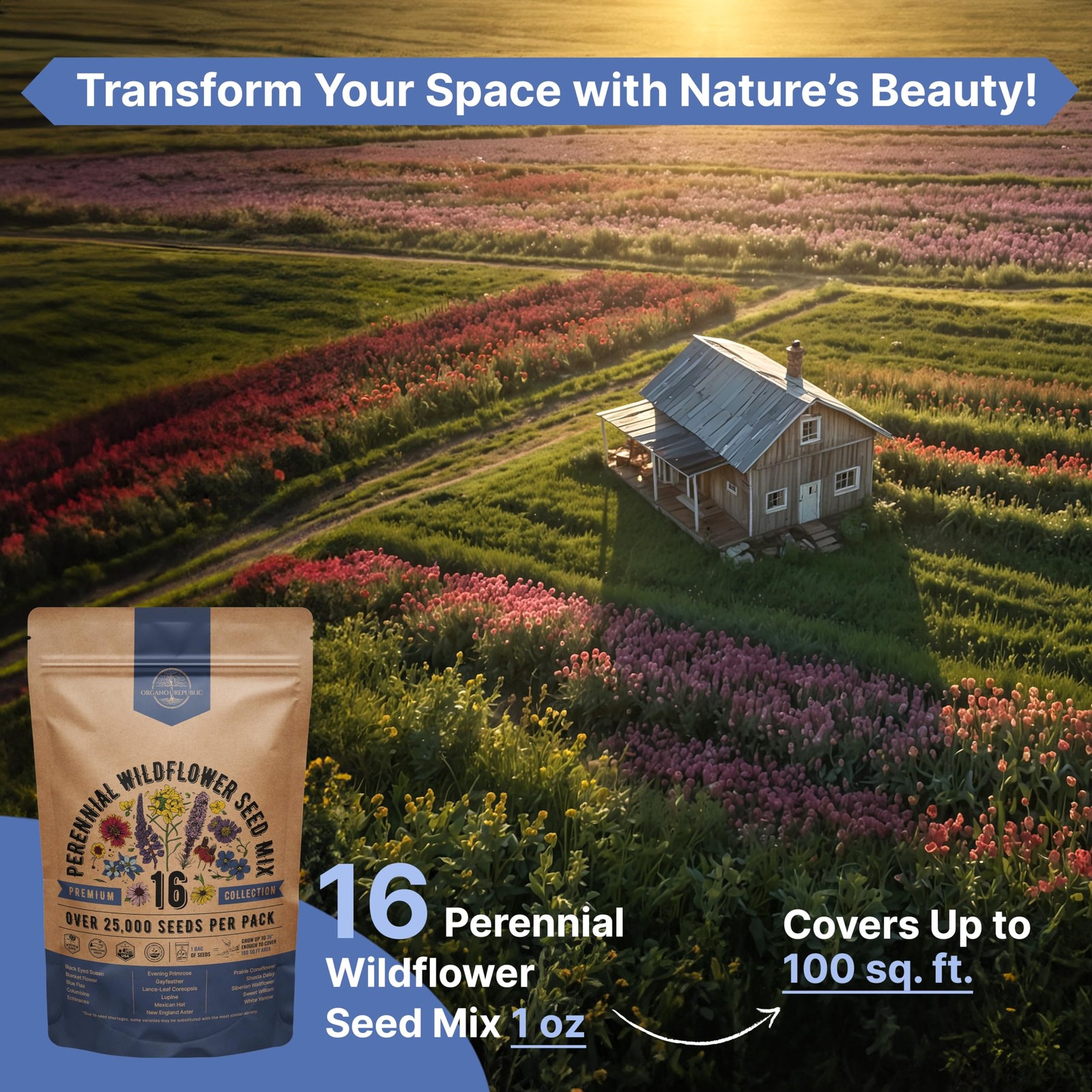 Organo Republic 16 Perennial Wildflower Seeds Mix for Indoor & Outdoors 25,000+
