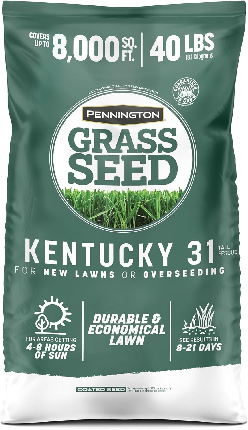 Kentucky 31 Fescue 40 LB Tall Fescue Grass Seed, Grass Seeds for Lawn