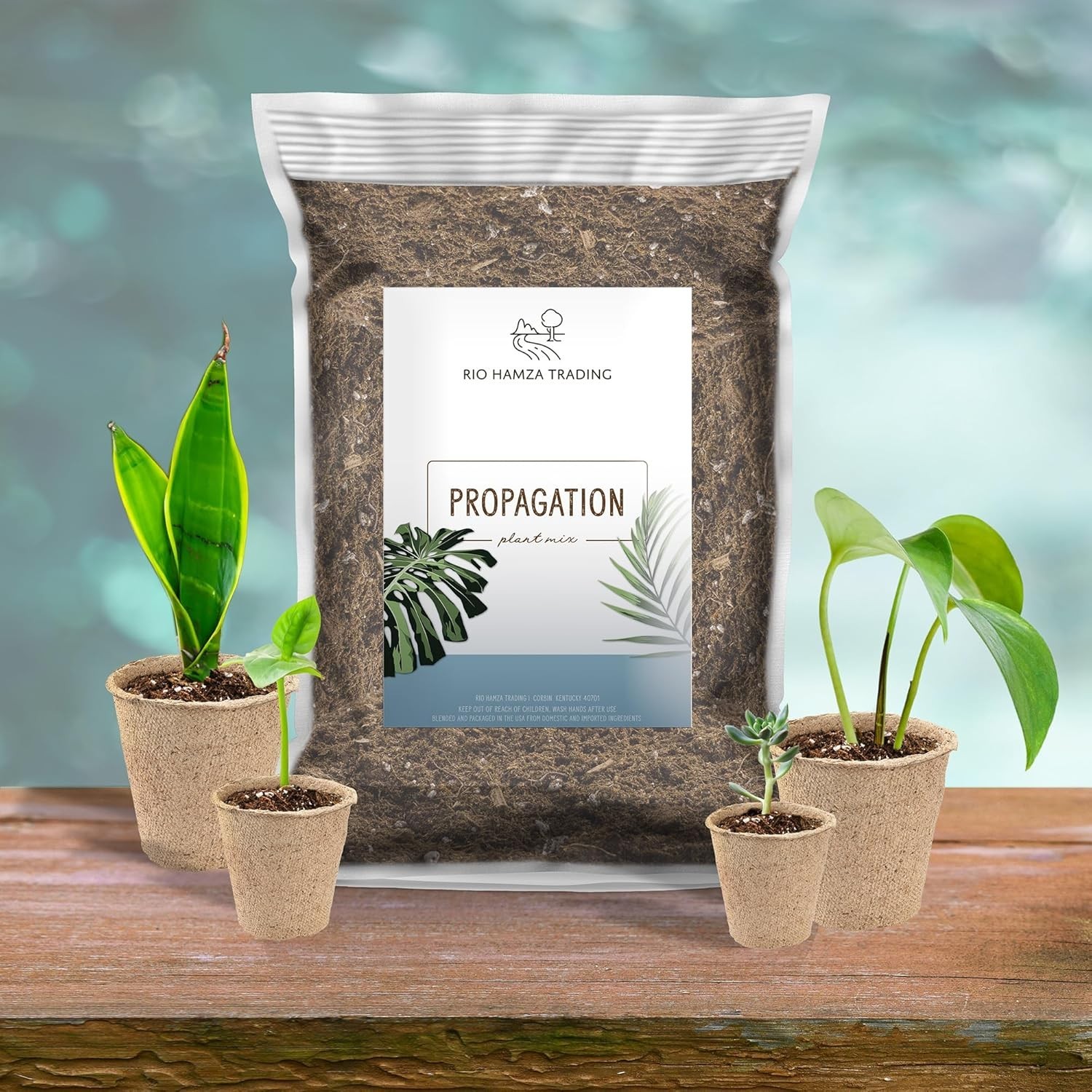 4 Quarts Hand Blended Soilless Plant Propagation Mix for Houseplants Success
